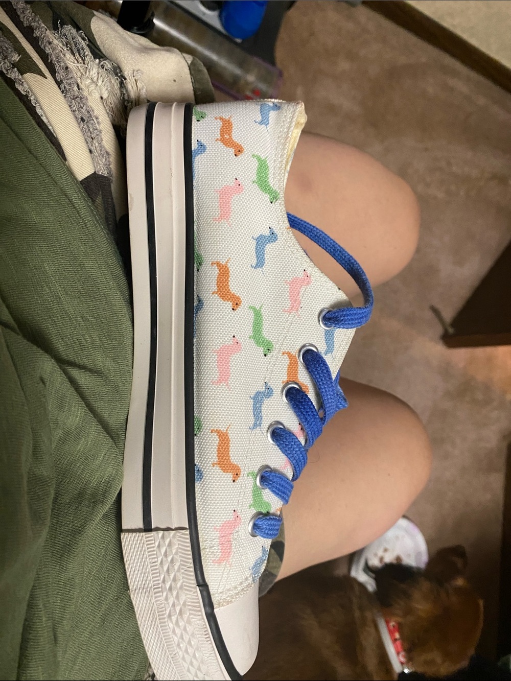 Women’s canvas Sneakers with Colorful Dachshund Print -blue laces